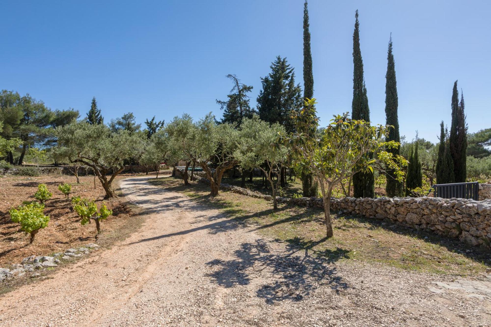Aresti Mountain Resort Agios Leon Exterior foto